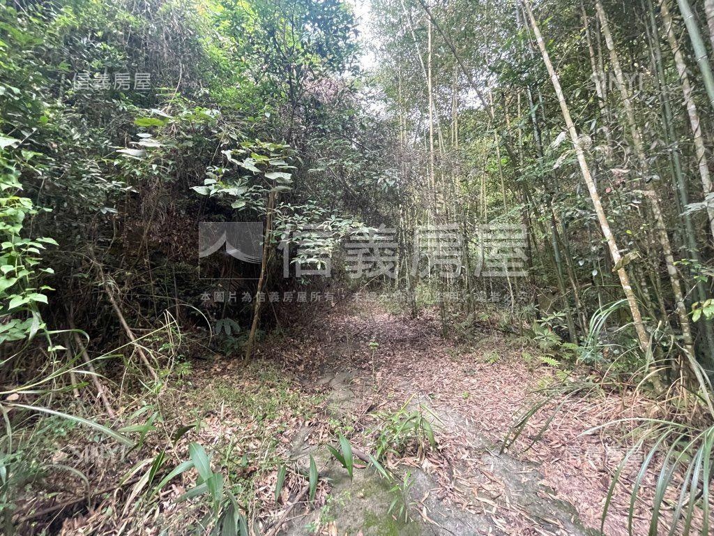 台三線旁獅潭和興土地房屋室內格局與周邊環境