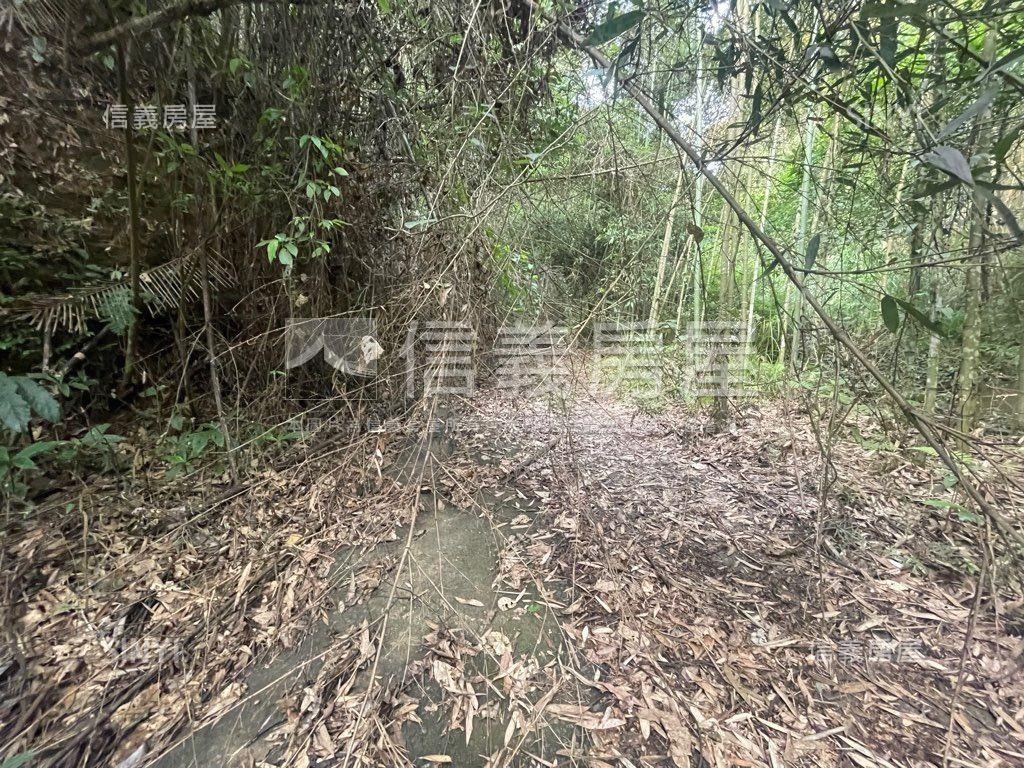 台三線旁獅潭和興土地房屋室內格局與周邊環境