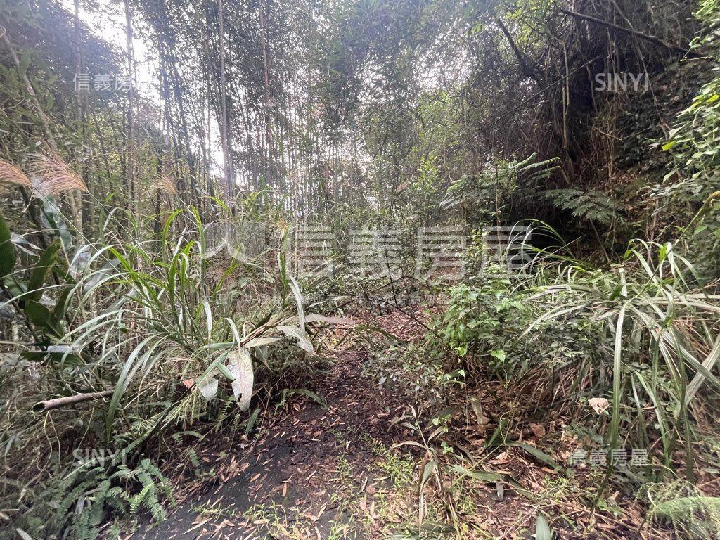台三線旁獅潭和興土地房屋室內格局與周邊環境