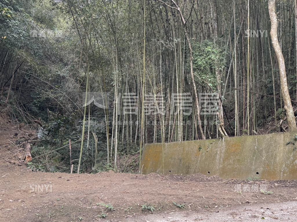 台三線旁獅潭和興土地房屋室內格局與周邊環境