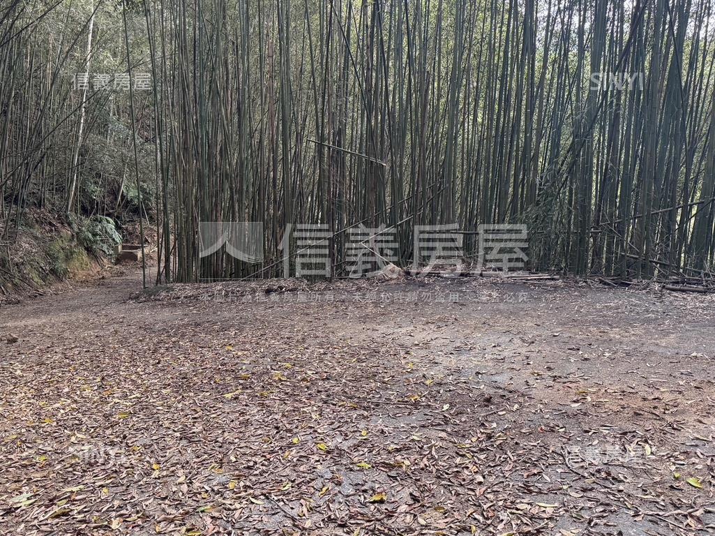 台三線旁獅潭和興土地房屋室內格局與周邊環境