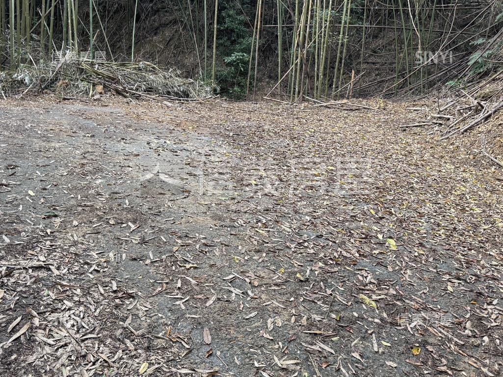 台三線旁獅潭和興土地房屋室內格局與周邊環境