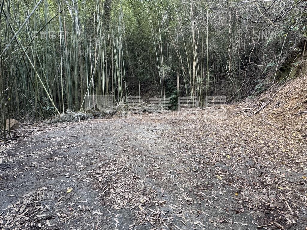 台三線旁獅潭和興土地房屋室內格局與周邊環境