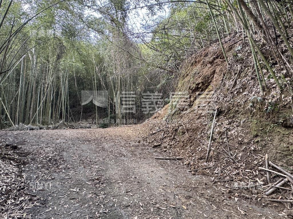 台三線旁獅潭和興土地房屋室內格局與周邊環境