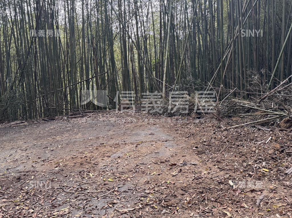台三線旁獅潭和興土地房屋室內格局與周邊環境