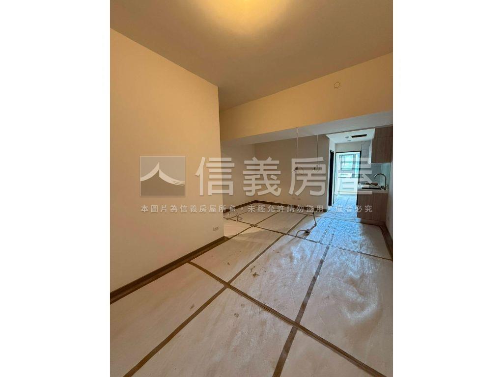 水漾第一排綠景新屋房屋室內格局與周邊環境