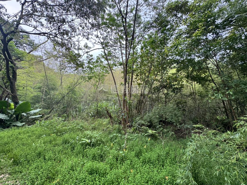 屋主誠售三峽土地房屋室內格局與周邊環境
