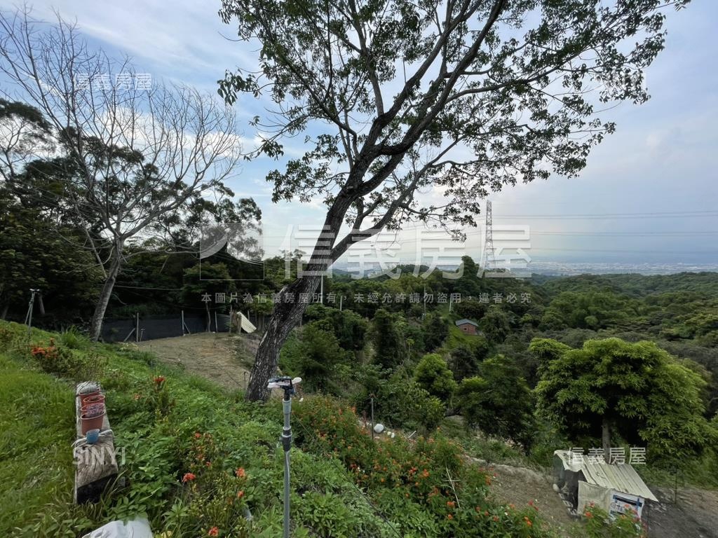 【合法開墾】景觀美地Ａ房屋室內格局與周邊環境
