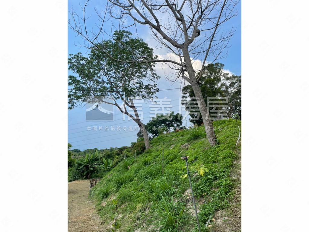 【合法開墾】景觀美地Ａ房屋室內格局與周邊環境