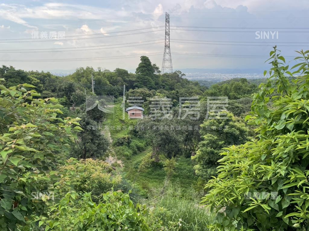 【合法開墾】景觀美地Ａ房屋室內格局與周邊環境