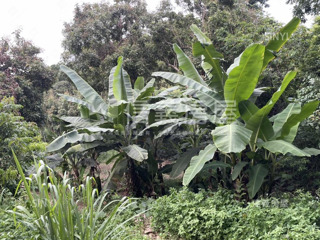 【合法開墾】景觀美地Ａ房屋室內格局與周邊環境