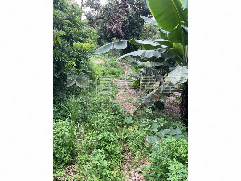 【合法開墾】景觀美地Ａ房屋室內格局與周邊環境