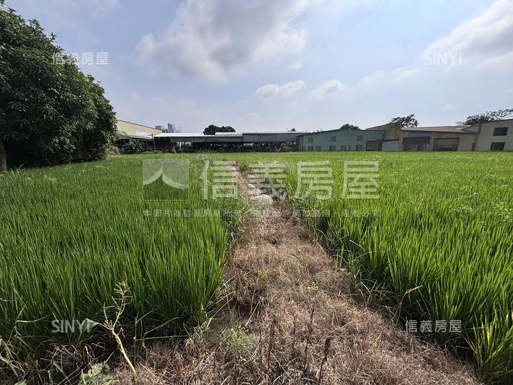 神岡農地房屋室內格局與周邊環境