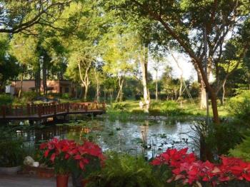 屏東綠建築池畔森林莊園