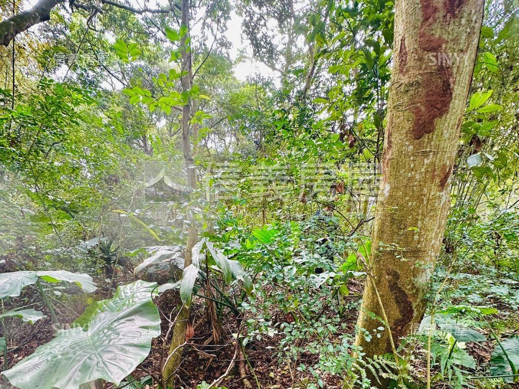桃園大溪土地房屋室內格局與周邊環境