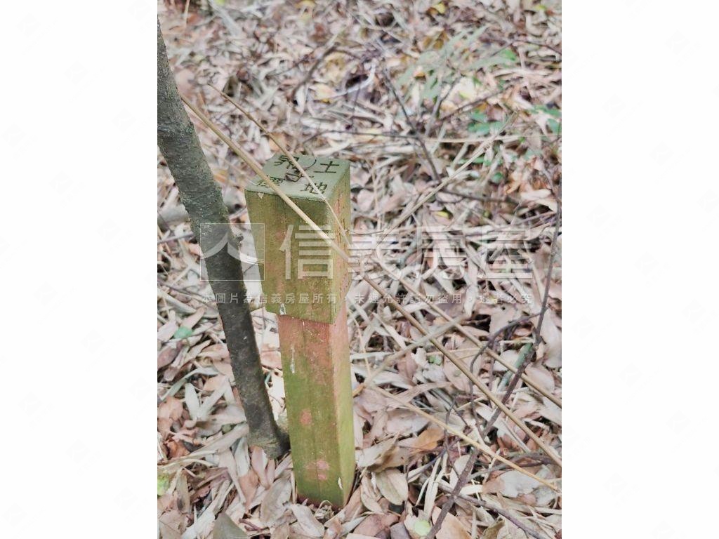 桃園大溪土地房屋室內格局與周邊環境
