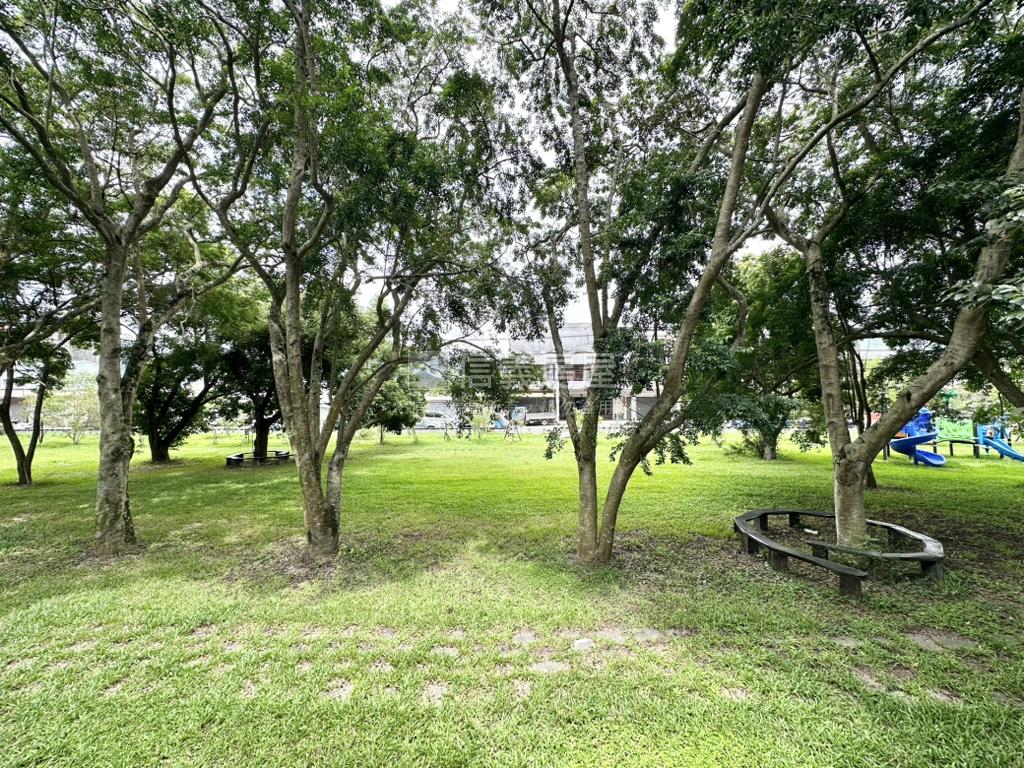 新社霸氣獨棟四面採光別墅房屋室內格局與周邊環境