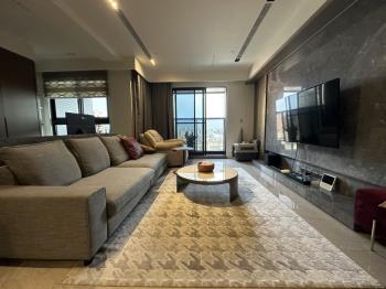 高鐵高樓三房平車