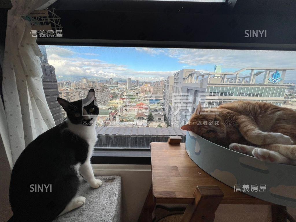 禮◆躍挑高景觀兩房房屋室內格局與周邊環境