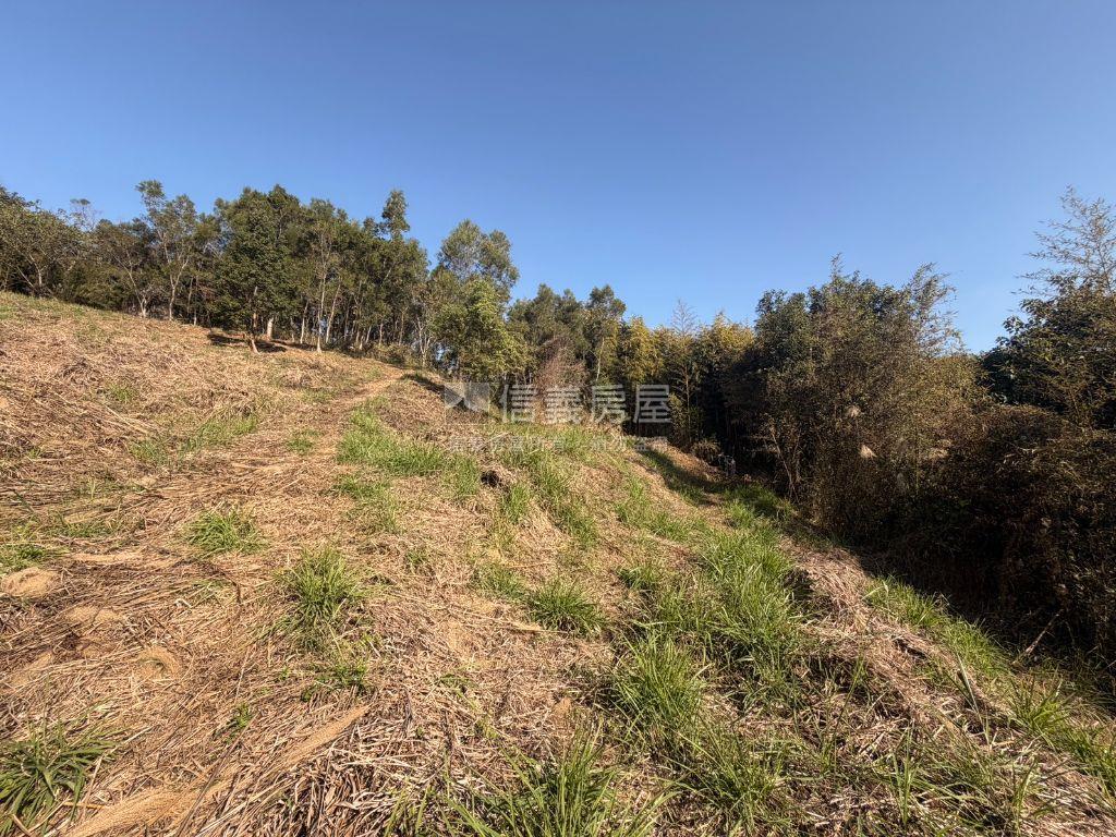只求出售超值好美卓蘭土地房屋室內格局與周邊環境