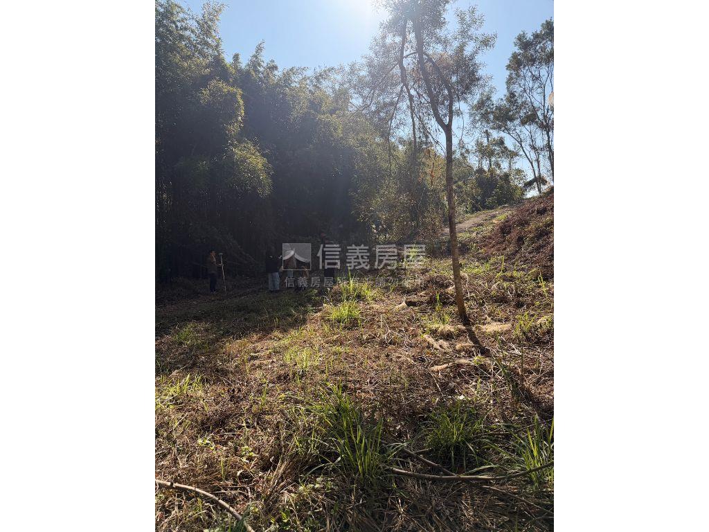 只求出售超值好美卓蘭土地房屋室內格局與周邊環境