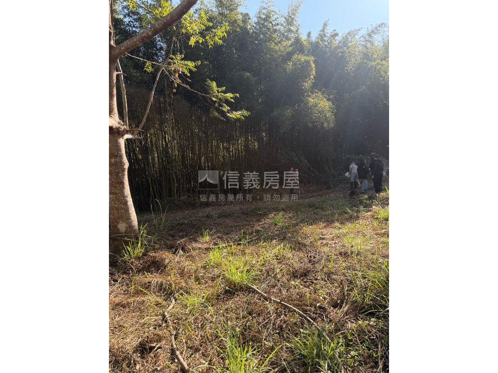 只求出售超值好美卓蘭土地房屋室內格局與周邊環境