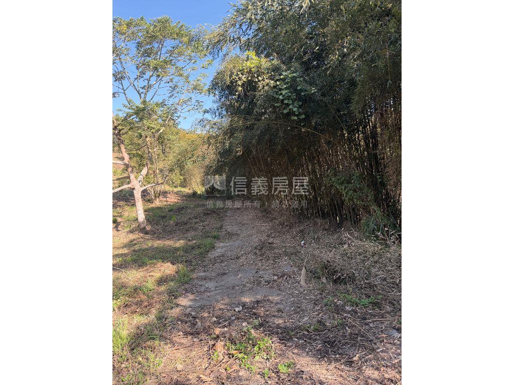 只求出售超值好美卓蘭土地房屋室內格局與周邊環境