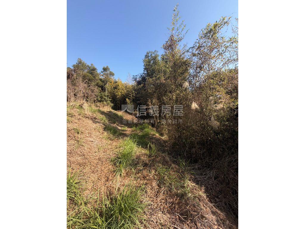只求出售超值好美卓蘭土地房屋室內格局與周邊環境