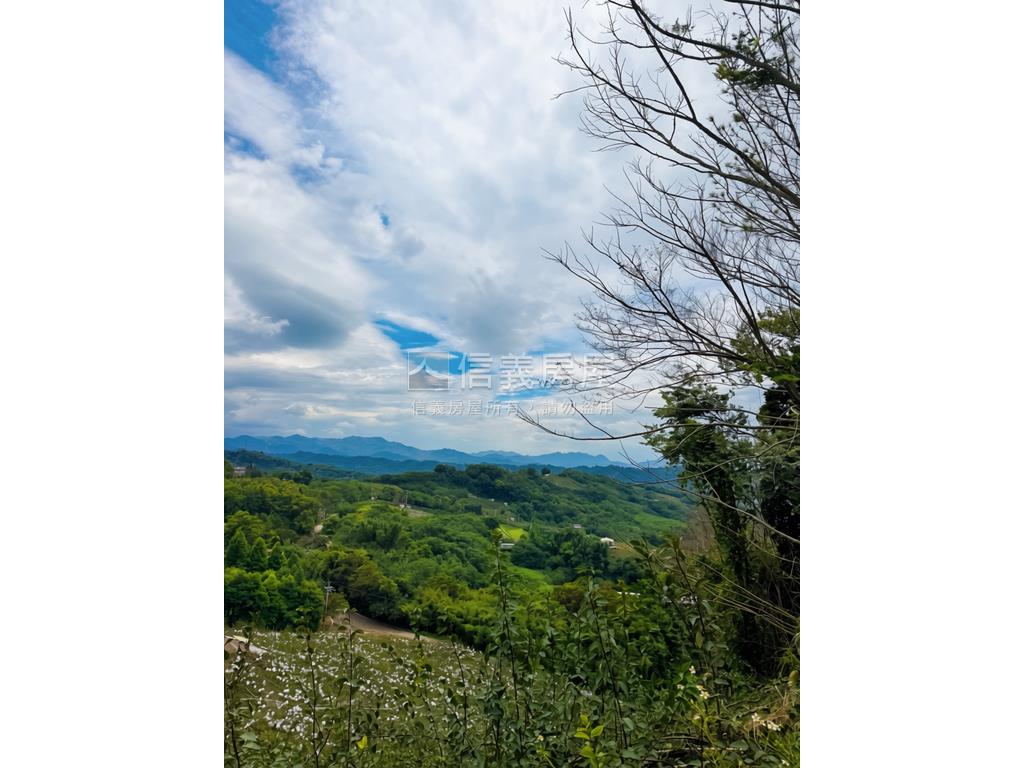 只求出售超值好美卓蘭土地房屋室內格局與周邊環境