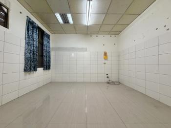 安定近南科優質透天