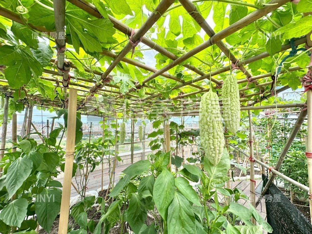 植幸福帝王戶三房車位房屋室內格局與周邊環境