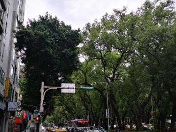 敦北長春林蔭方正辦住