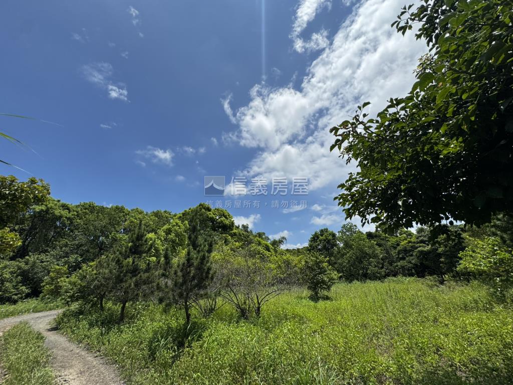 大溪農地＋約１３５坪甲建房屋室內格局與周邊環境