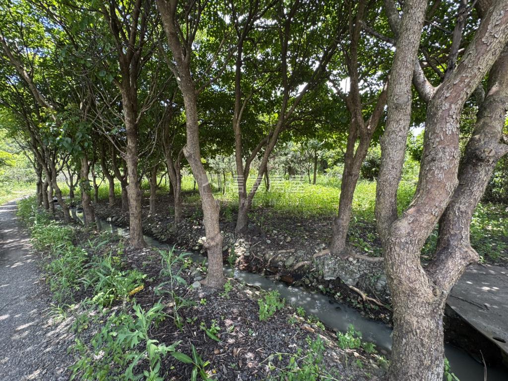 大溪農地＋約１３５坪甲建房屋室內格局與周邊環境