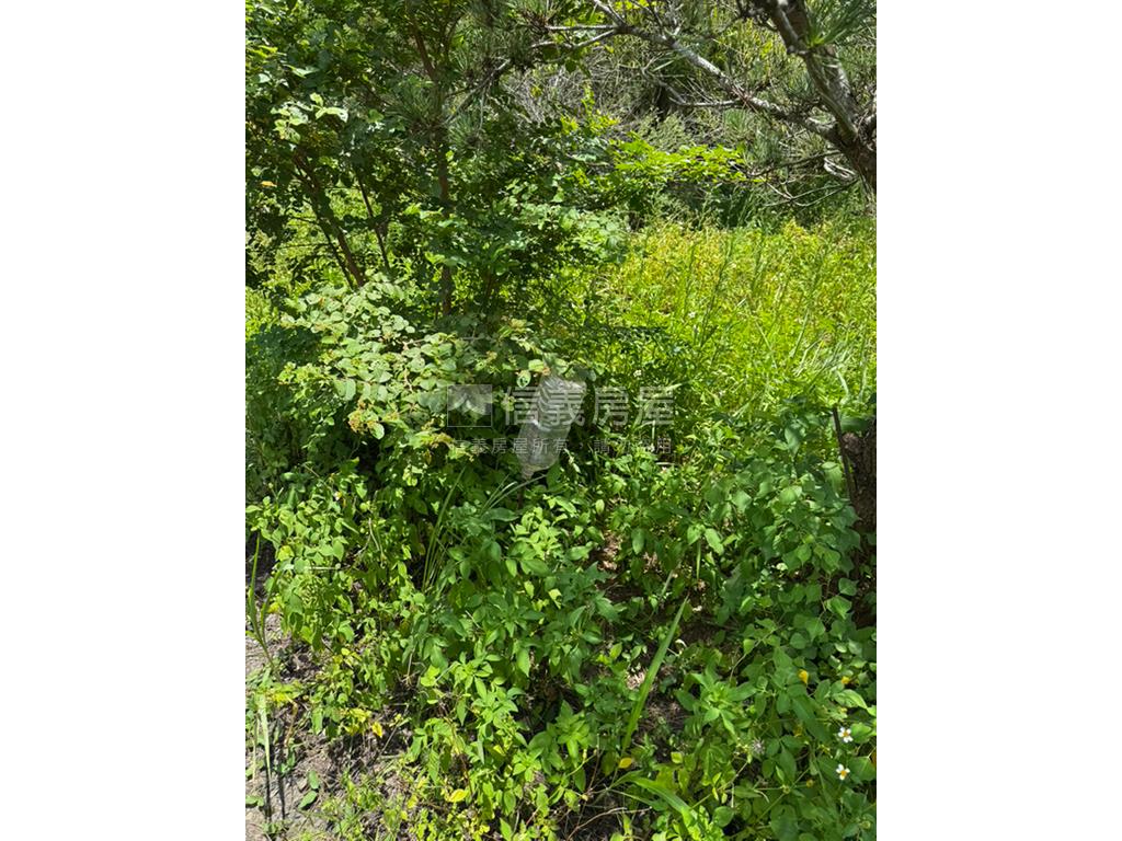 大溪農地＋約１３５坪甲建房屋室內格局與周邊環境