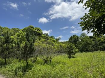 大溪農地＋約１３５坪甲建