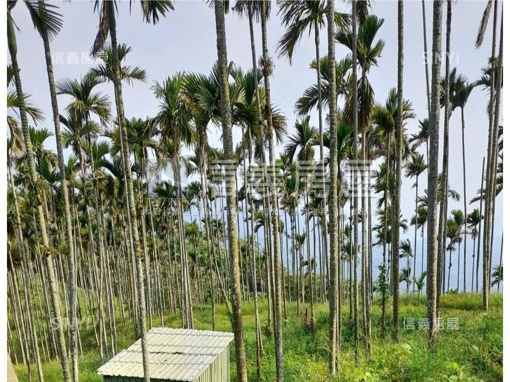 南投中寮鄉森林區農牧用地房屋室內格局與周邊環境