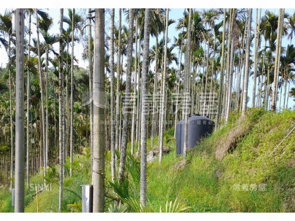南投中寮鄉森林區農牧用地房屋室內格局與周邊環境