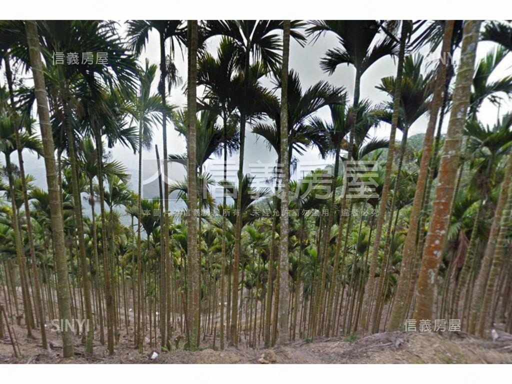 南投中寮鄉森林區農牧用地房屋室內格局與周邊環境