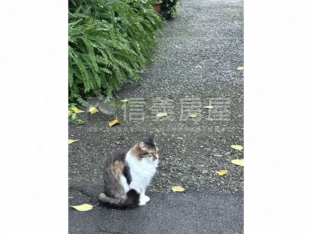 未來捷運☆和風透天房屋室內格局與周邊環境