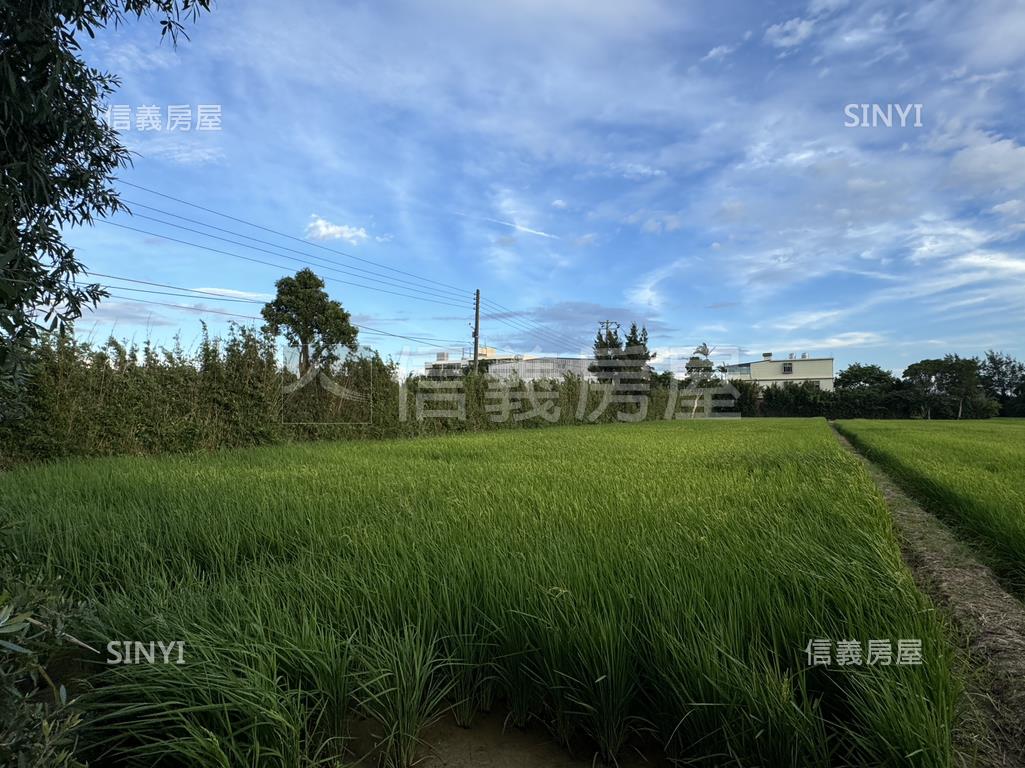 新屋農地房屋室內格局與周邊環境