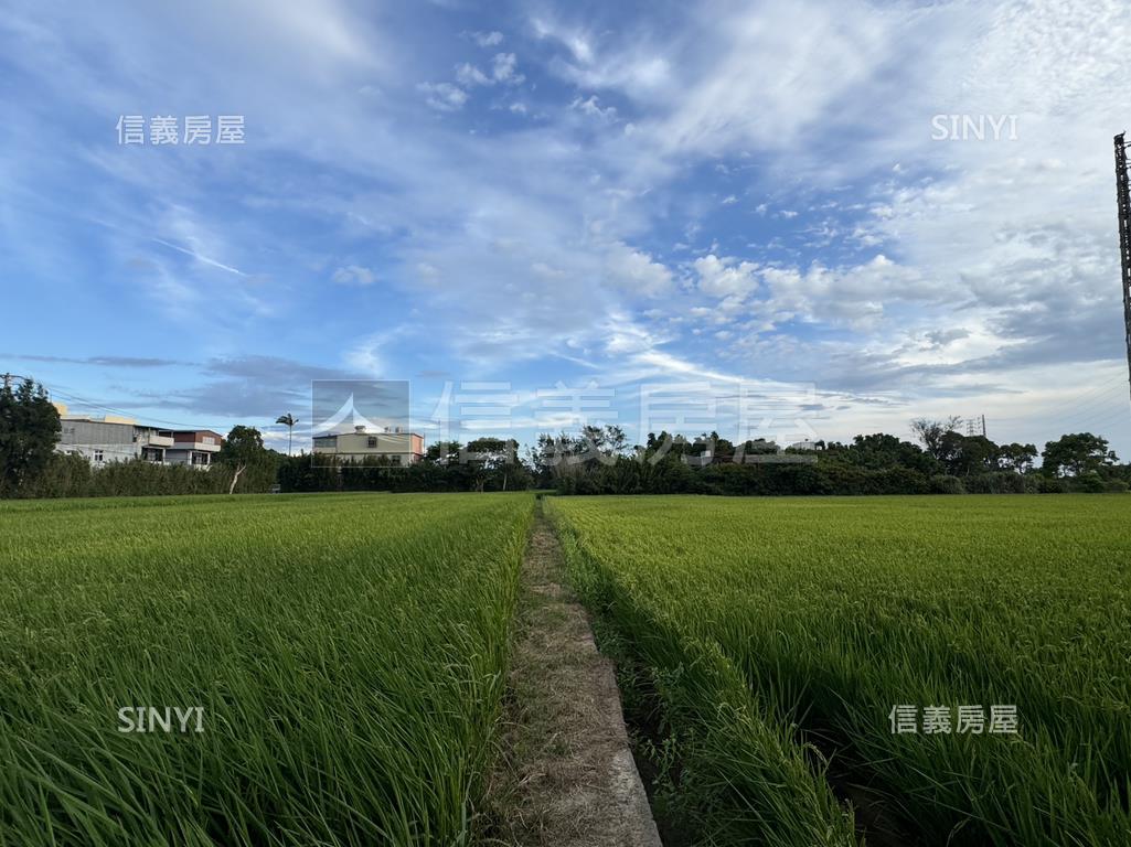 新屋農地房屋室內格局與周邊環境