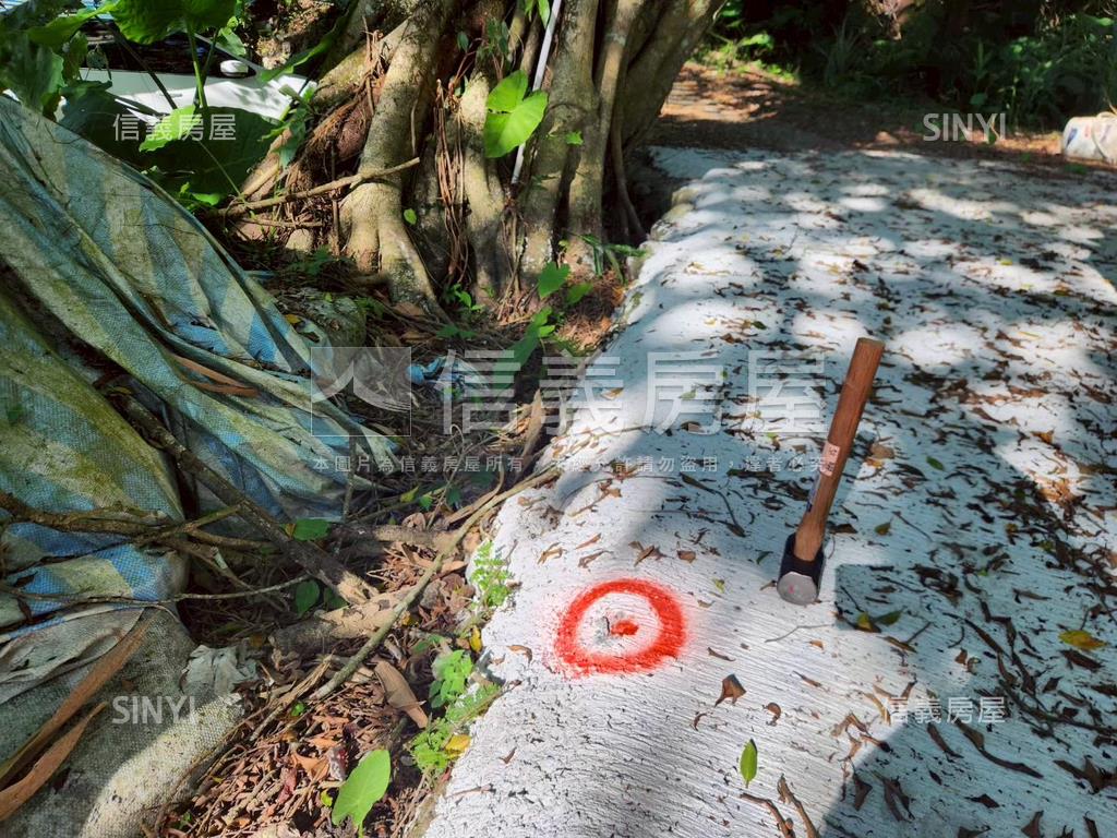 新店秀水路士地（臨路）房屋室內格局與周邊環境