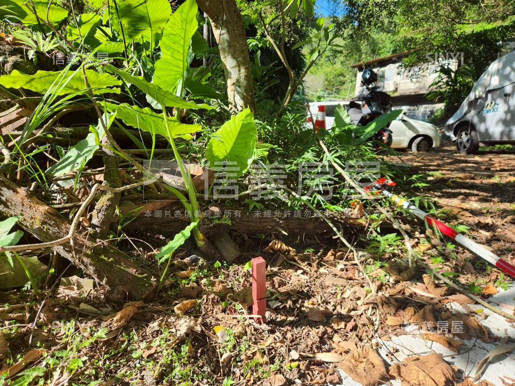 新店秀水路士地（臨路）房屋室內格局與周邊環境