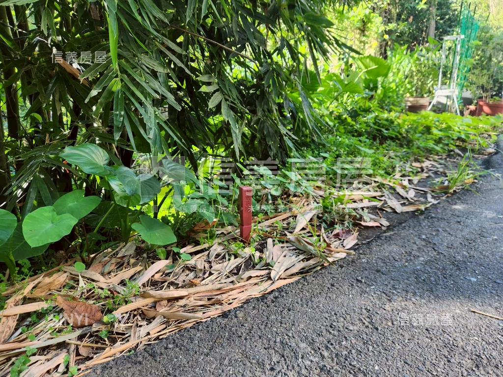 新店秀水路士地（臨路）房屋室內格局與周邊環境