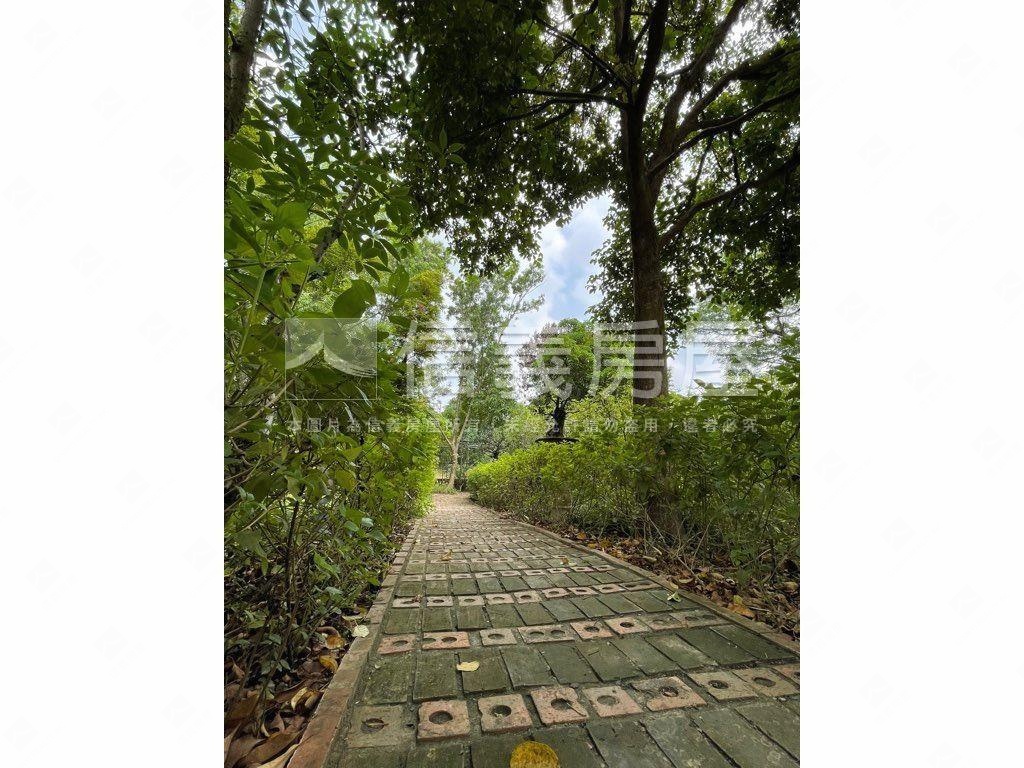 龍居山林龍盤居帝王心墅房屋室內格局與周邊環境