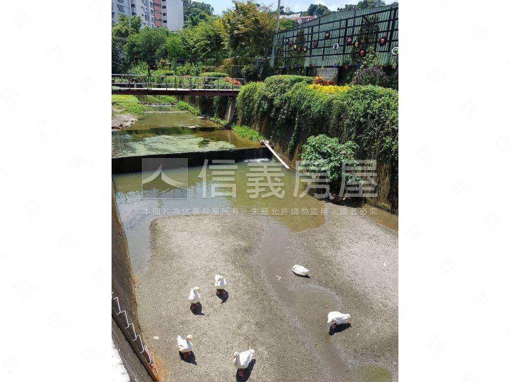 龍居山林龍盤居帝王心墅房屋室內格局與周邊環境