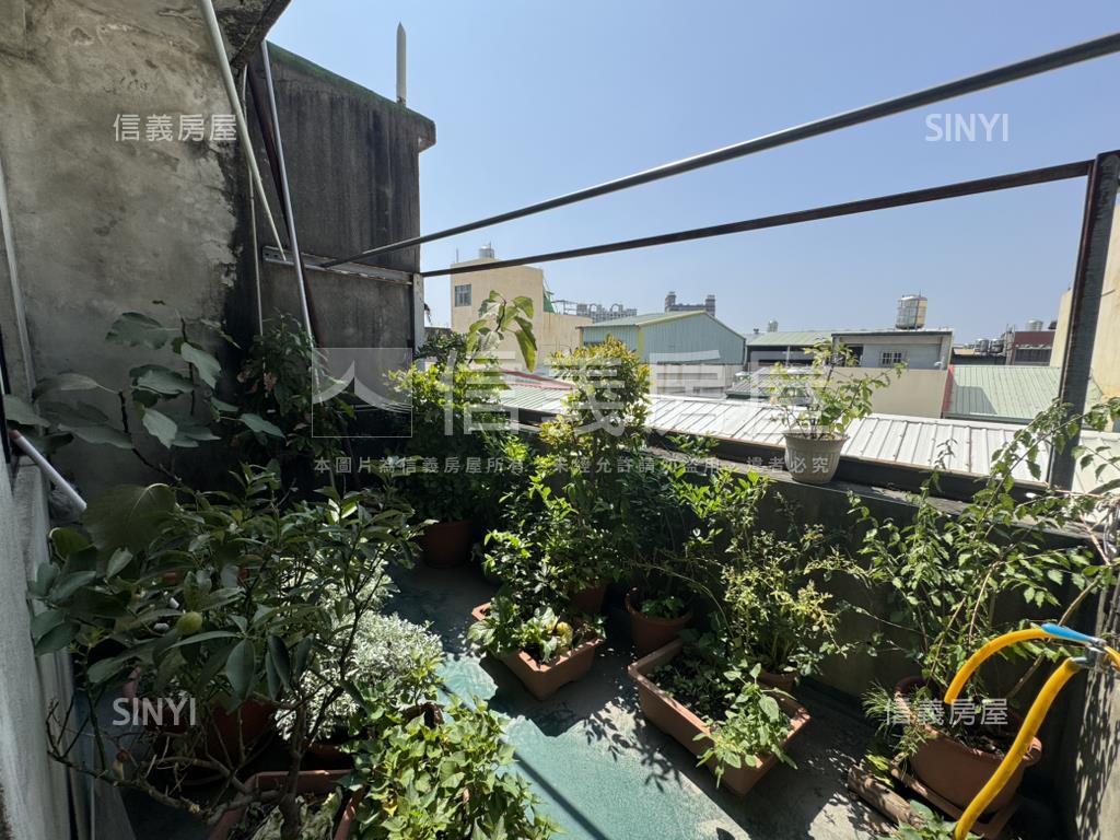 自強路透天房屋室內格局與周邊環境