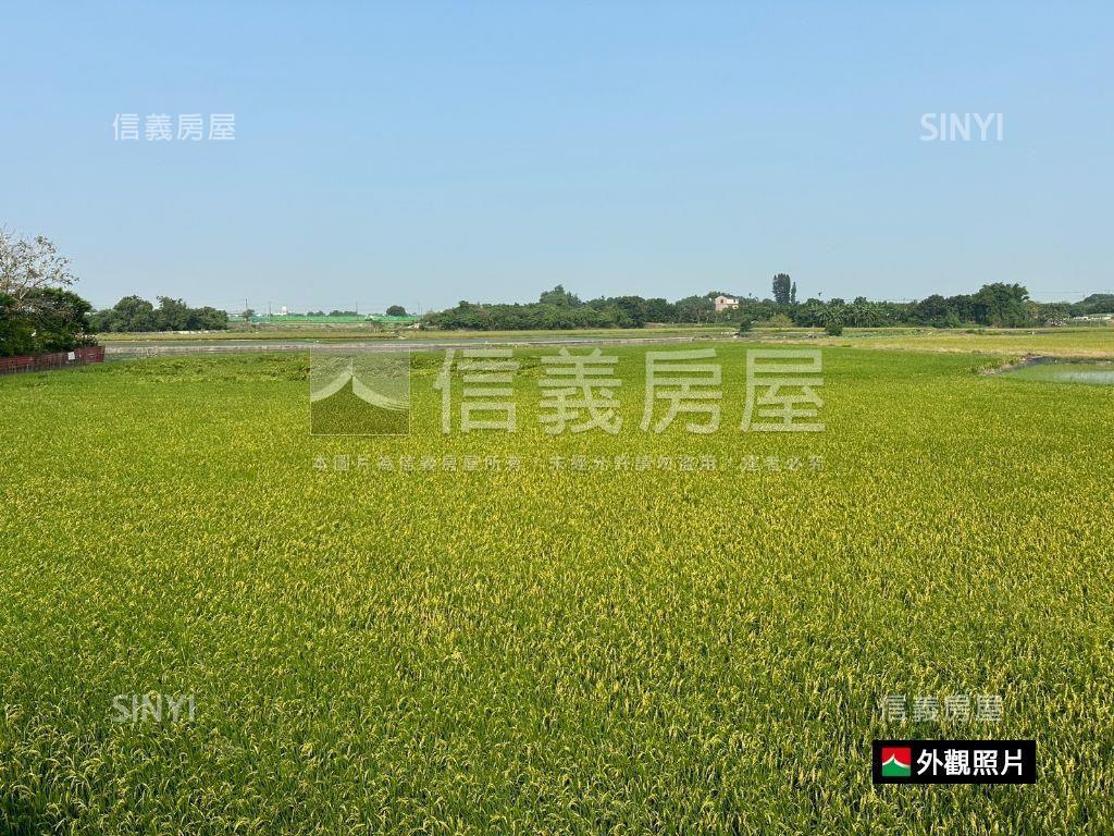 官田✉葫蘆埤旁土地房屋室內格局與周邊環境