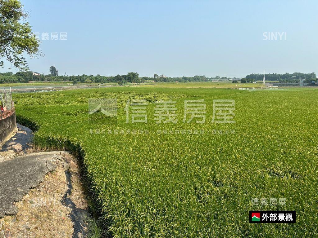 官田✉葫蘆埤旁土地房屋室內格局與周邊環境